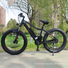dynavolt 48V 250W 14.5Ah long range fat tire electric bike